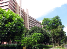 Blk 456 Hougang Avenue 10 (Hougang), HDB 4 Rooms #249802